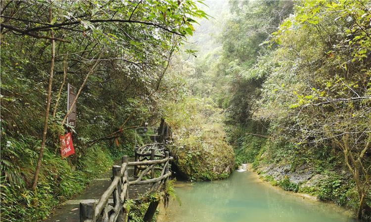 三亚年货节主会场即将启幕 新鸿港农贸市场年味“登场”